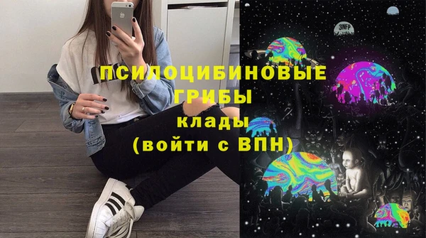первитин Карпинск