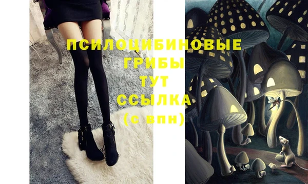 первитин Карпинск