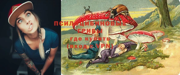 первитин Карпинск