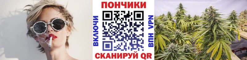 Купить  Жуковка  Бошки марихуана марихуана 